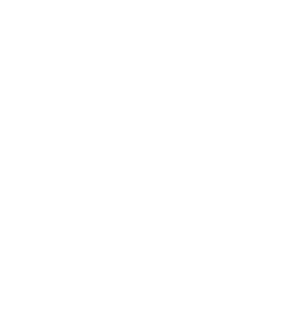 salt-graphic-neg